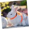 Kisangel Polyester Rabbit Harness and Leash Set, Adjustable Design view 4