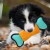 Interactive Treat Dispenser Dog Toy view 3