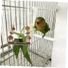 UPKOCH Parrot Swing view 3