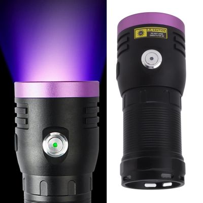 Ghzste 80W 365nm Rechargeable UV Flashlight with Black Filter