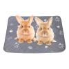 YNPQTDS Reusable Non-Slip Pet Pee Pad for Dogs, Cats and Small Animals view 1