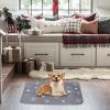YNPQTDS Reusable Non-Slip Pet Pee Pad for Dogs, Cats and Small Animals view 2