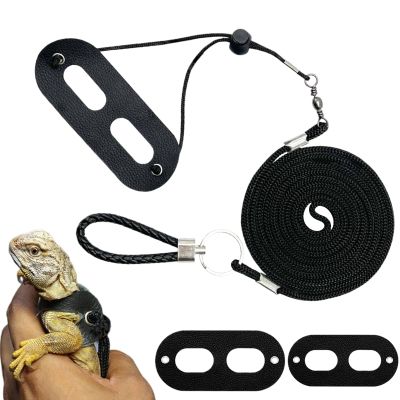 Lizard Harness with Leash Set