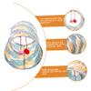 Supvox Foldable Cat Tunnel, Cute Indoor Polyester Play Tunnel for Cats and Kittens view 3