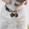 Milageto Brass Bell for Pets view 4