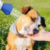 Portable Water Bottle Shower Cap view 3