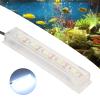 BAFOVY Aquarium LED Light, USB-Powered, Portable and Long-Lasting view 4