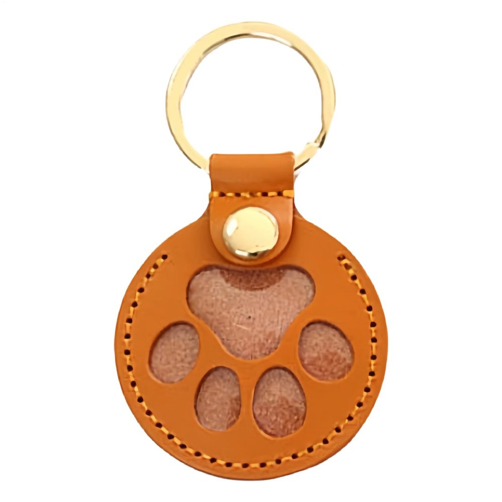 Cat Hair Holder Keychain with Paw Print