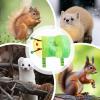 JIEBWCHA Hamster Traction Leash – Caterpillar Harness for Small Animals view 4