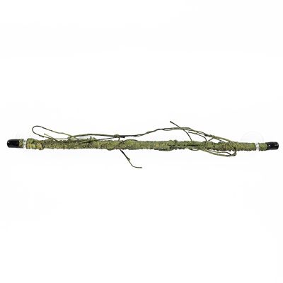 Generic Reptile Climbing Branch