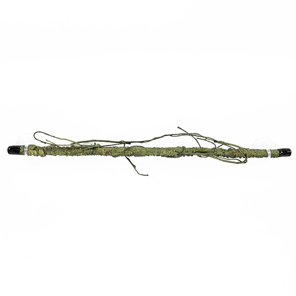 Generic Reptile Climbing Branch