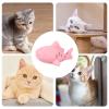 Tioheam Cat Treat Dispenser Toy view 4