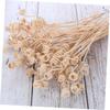 20 Rattan Diffuser Sticks with Double Spiral Heads view 3