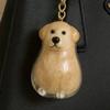 Pet Hair Keepsake Keychains, 3-Pack view 3