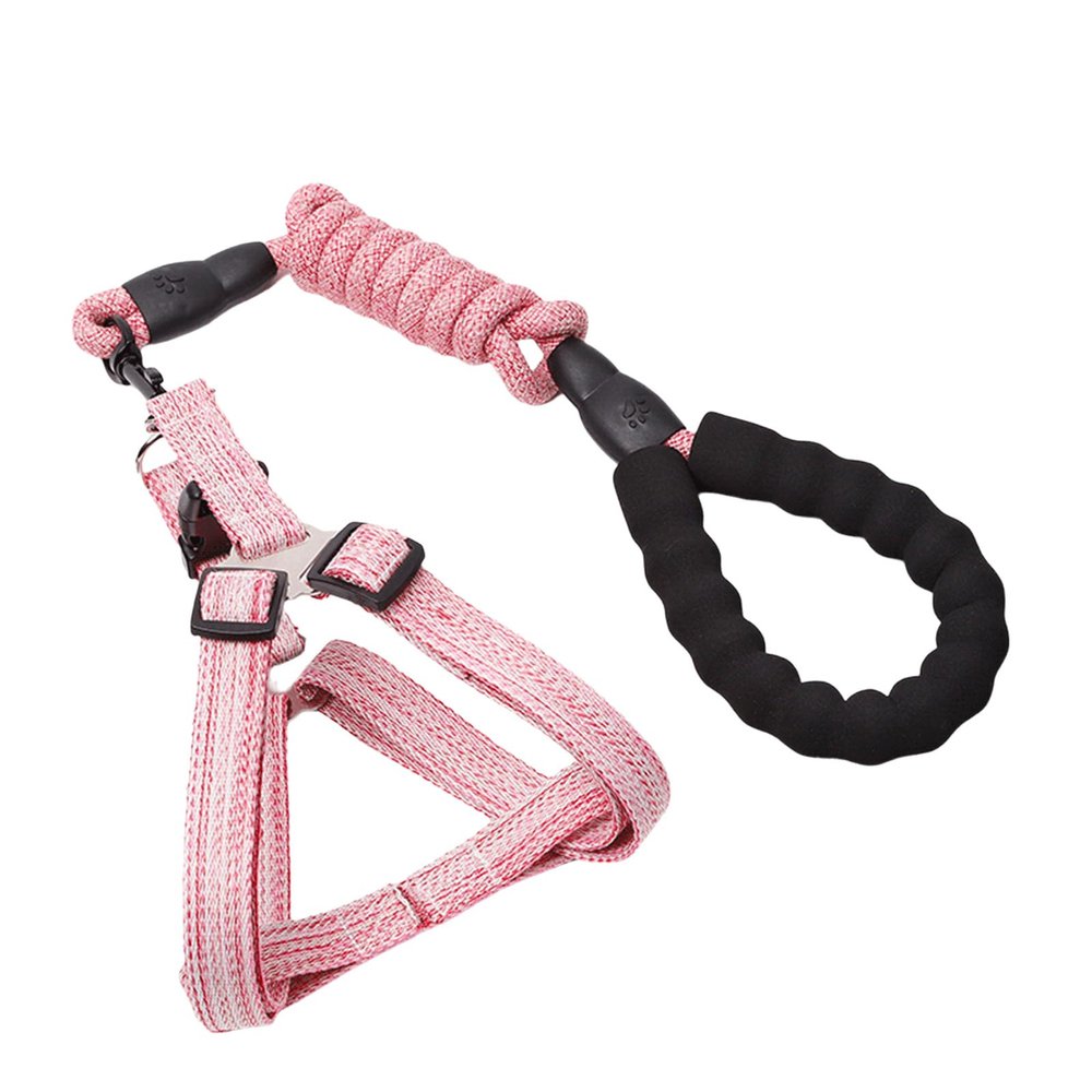 Multicolor Training Rope with D-Buckle for Medium and Large Dogs