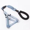 Multicolor Training Rope with D-Buckle for Medium and Large Dogs view 3