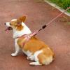 Multicolor Training Rope with D-Buckle for Medium and Large Dogs view 4