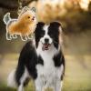 ZUJIABAO Mini Dog Hair Keychain view 4