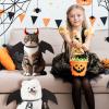 Black Bat Wings for Cats - Halloween Costume view 2