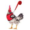 Adjustable Chicken Harness with Leash view 1