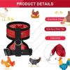 Adjustable Chicken Harness with Leash view 3