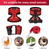 Adjustable Chicken Harness with Leash view 4