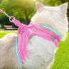 Travel Cat Harness | Adjustable for Walks, Sizes S M L for Hiking, Training, Outdoor view 3
