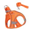 Escape-Proof Cat Harness, Soft Mesh with Reflective Strip view 1