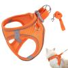 Jlobnyiun Escape-Proof Adjustable Cat Harness, Collar and Leash Set view 1