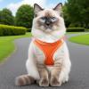 Jlobnyiun Escape-Proof Adjustable Cat Harness, Collar and Leash Set view 2