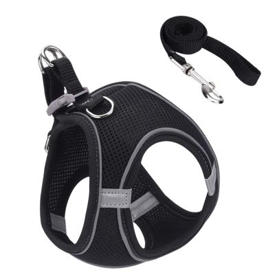 Escape-Proof Cat Harness - Adjustable for Walks