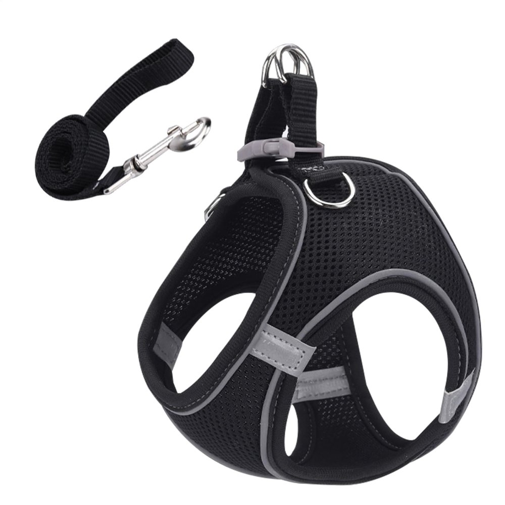 Escape-Proof Cat Harness