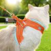 Adjustable Cat Harness for Walks view 3