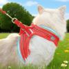 Escape-Proof Cat Harness, Soft Mesh Harness with Reflective Strip view 3