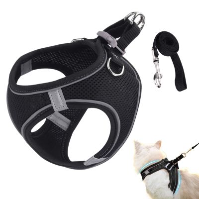 Adjustable Cat Harness for Walks