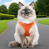 Cat Harness and Leash Set view 3