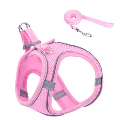 Adjustable Cat Harness for Outdoor Adventures