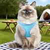 Eoixuqba Cat Harness with Leash view 2