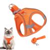 Adjustable Cat Harness for Outdoor Adventures view 1