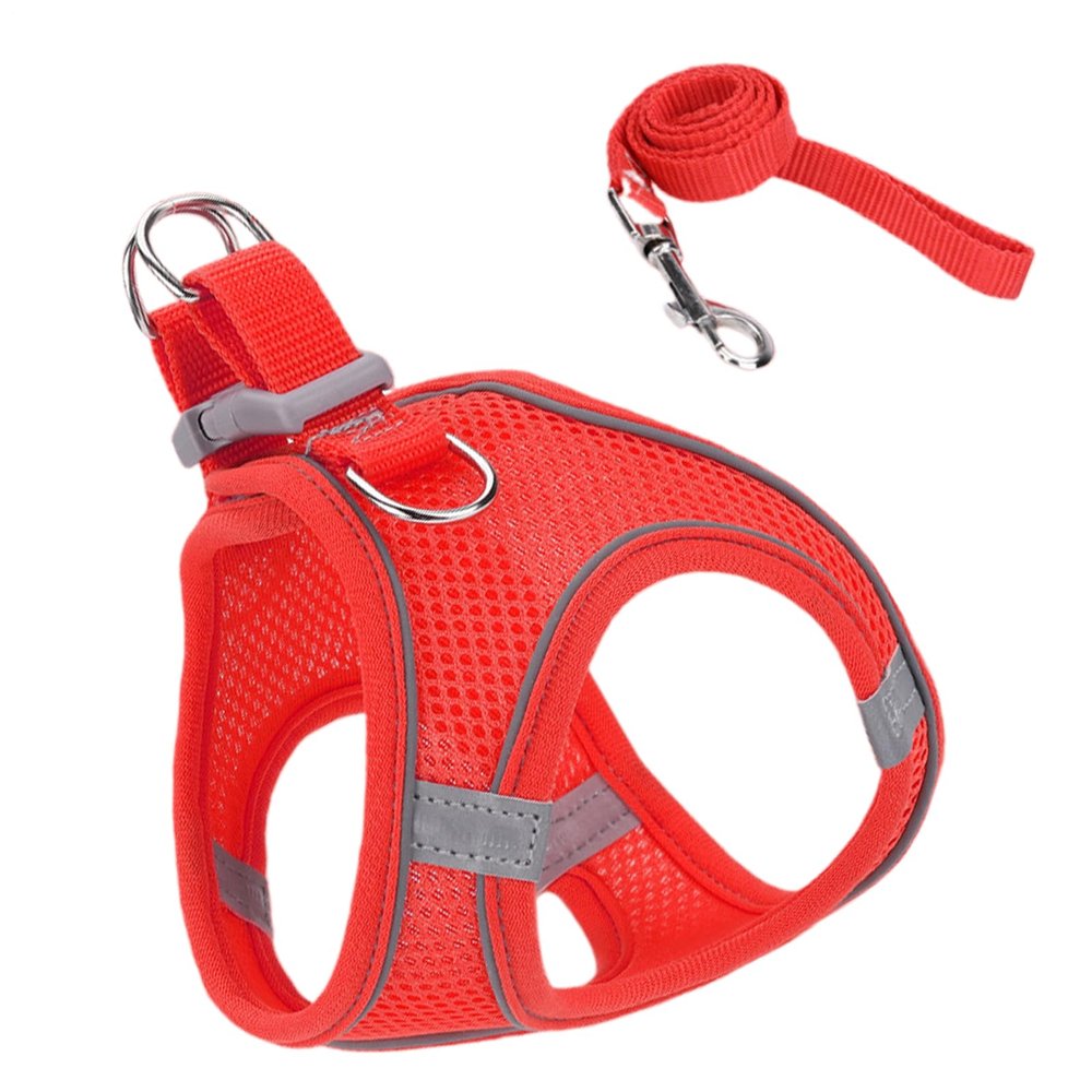 Cat Harness with Leash