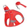 Cat Harness with Leash view 1