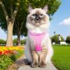Escape-Proof Adjustable Cat Harness view 3