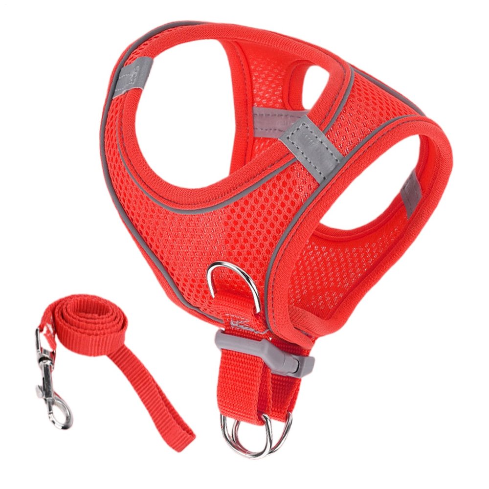 Huvqianu Escape-Proof Cat Harness with Leash