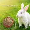 Hanging Hay Feeder for Small Animals view 2