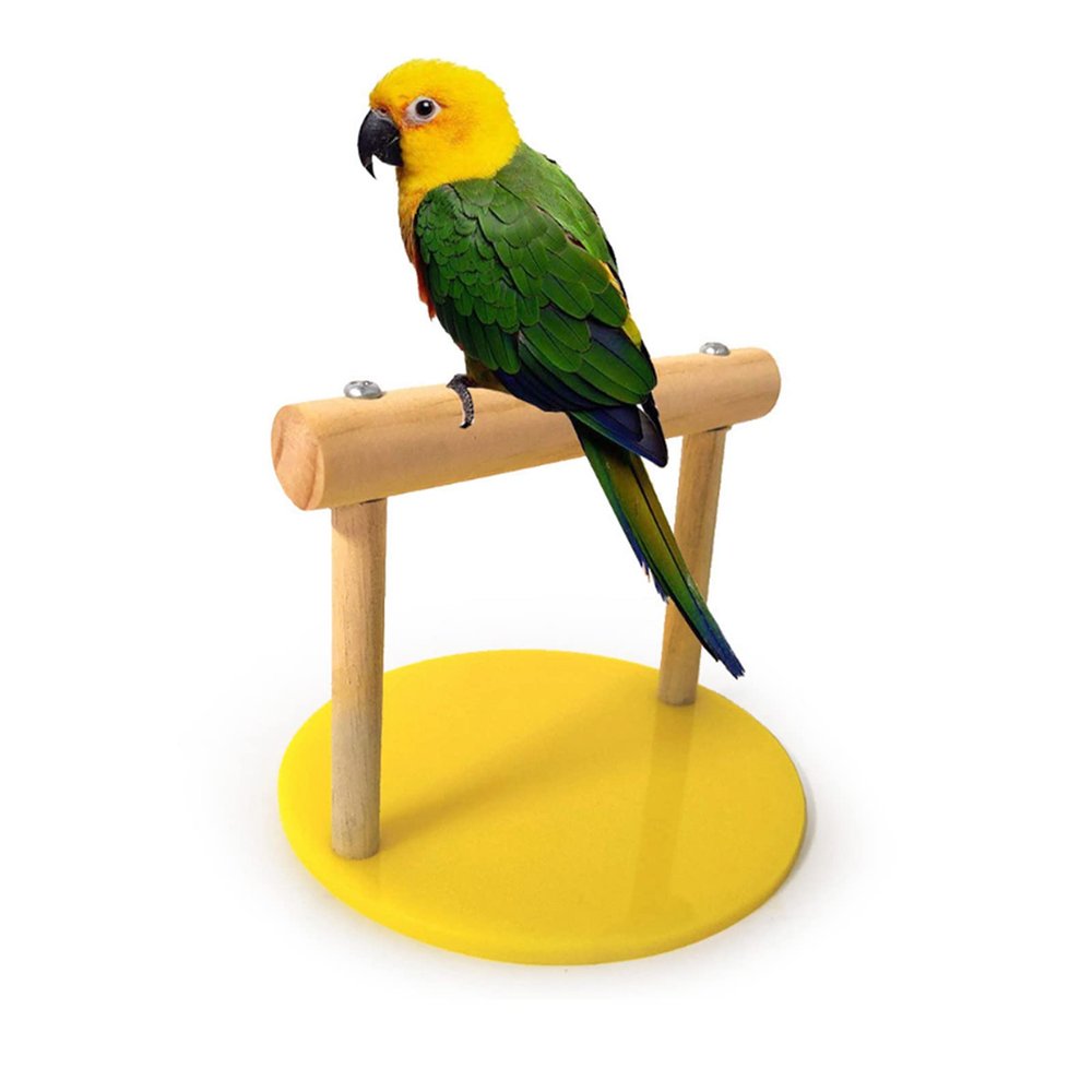 Haofy Parrot Stand, Portable Training Perch for Lovebirds