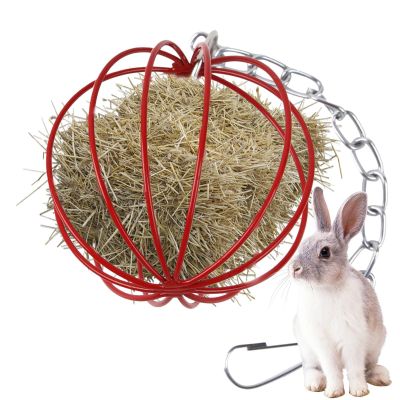 Hanging Metal Hay Rack for Small Pet Cages