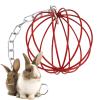 Hanging Hay Feeder for Rabbits view 1