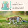 Reflective Dog Harness with Collar view 2