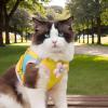 Dog Harness with Collar | Reflective Cat Boy Harness, Breathable Dog Harness for Walking, Hiking, Camping, Park view 2
