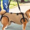 Adjustable Lifting Harness for Senior Dogs view 3